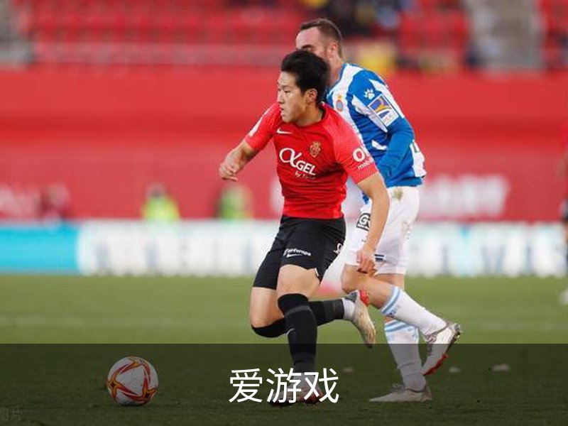关于爱游戏